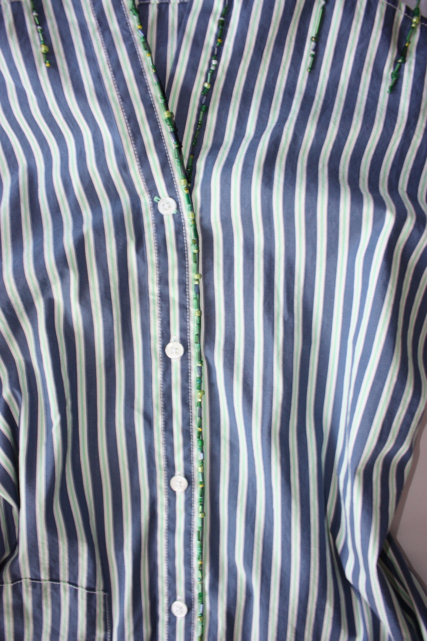 Embellished Striped Fitted Shirt Blue & Green Stripe