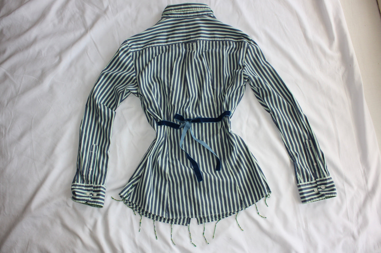 Embellished Striped Fitted Shirt Blue & Green Stripe